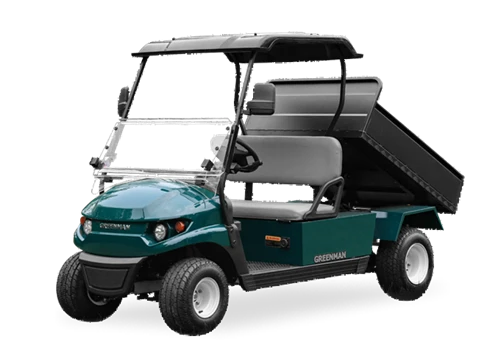 Carrello elettrico